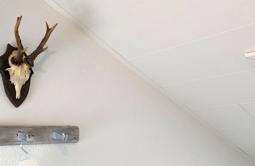 Ottersweier Apartamento | Holidays at the Schwarzwald-Tani, 59 sqm, 1 bedroom, max. 2 people