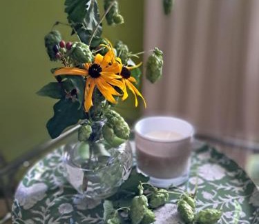 Wolnzach Apartamento | Holledauer Hopfakammerl