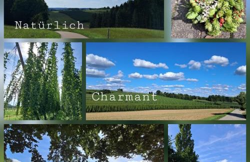 Wolnzach Apartamento | Holledauer Hopfakammerl