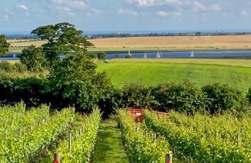 Althorne Casa | Holly No2 - Uk49254