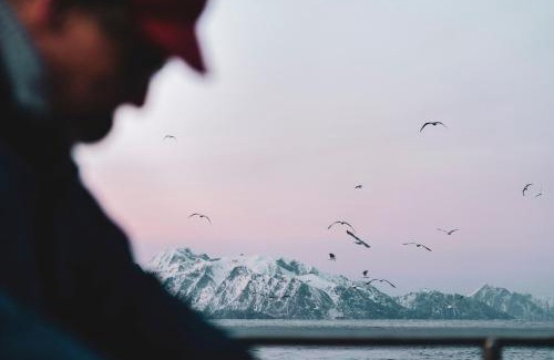Sørvagen Complejo | Holmen Lofoten