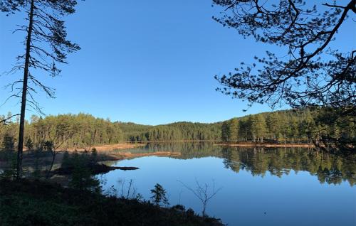 Asnes Municipality Otro | Holmsjøhytta