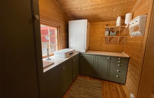 Asnes Municipality Otro | Holmsjøhytta
