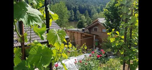 Trausnitz Casa | Holzhaus am See mit Panoramablick