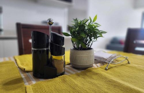 Historical District Apartamento | HOM I Estupendo 2D2B Vista al Mar Parking PNM 0625