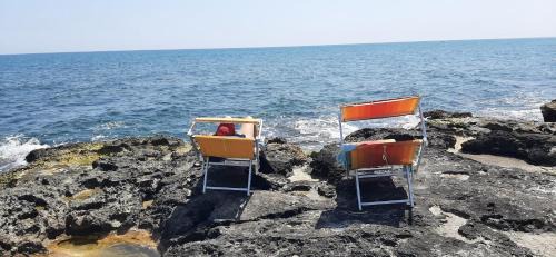 Torre Canne Apartamento | Home Consoli Aquarium