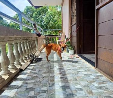 Coron Casa | HOME of ELLAI