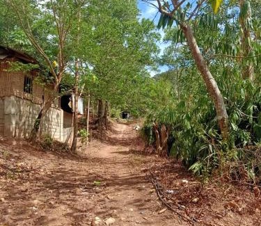 Coron Casa | HOME of ELLAI