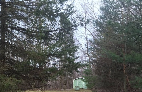 Howell Casa | Home on 10 Acres! Romantic getaway, Hunting paradise, Family vacation,Events