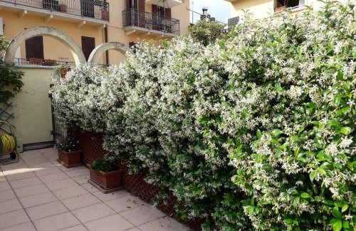 Cittadella Apartamento | Home Scalzi 18