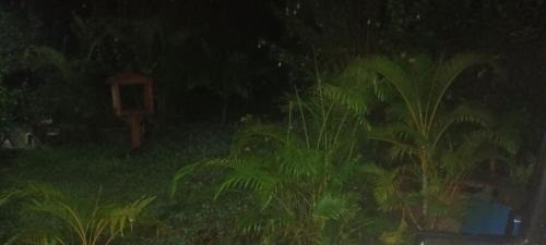 Hashmatabad Casa | Home stay