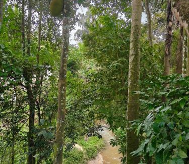 Sulthan Bathery Casa | Home Stay in Sulthan Bathery
