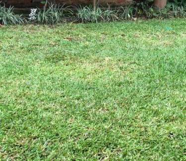 Lilongwe Apartamento | Home stay with Joy