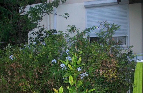 Riviere-Pilote Apartamento | Homerez - Apartamento Rivière-Pilote