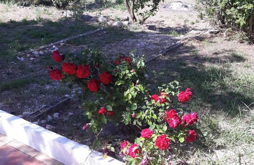 Monchique Casa | Homerez - Charming House in Monchique with Shared Pool