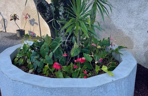 Bras-Panon Villa | Homerez - Acogedora Villa en Bras-Panon con Jardín Agradable