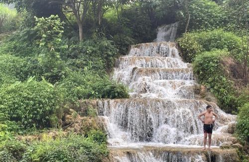 Phuc Hoa Casa | Homestay Bách Thảo Tà Lùng