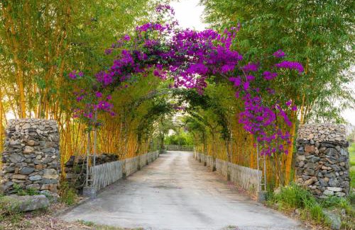 Phuc Hoa Casa | Homestay Bách Thảo Tà Lùng