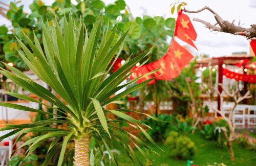 Dong Hoa Apartamento | Homestay CỔ MỘC GADEN SEA