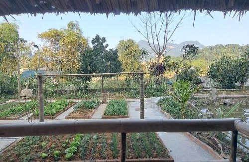 Ha Giang Casa | Homestay field - bungalow, Ha giang loop tour, motorbikes rental