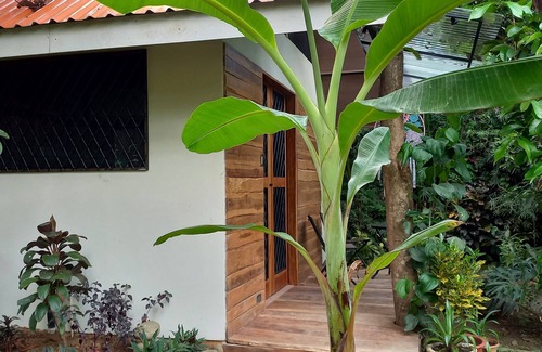 Uvita Cabaña | Homestay in dashing 1br garden-cottage in Uvita, 10 min walk to the beach