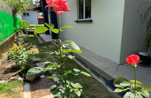 Kampung Bakau Tinggi Casa | Homestay Kemaman - Berado D Kemuning
