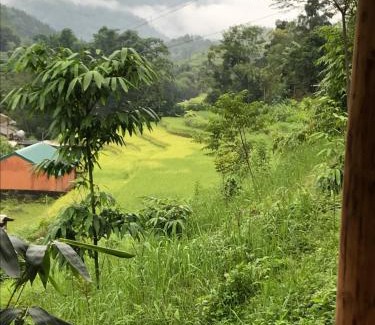 Thong Nguyen Cabina | Homestay Khoáng nóng Thông Nguyên