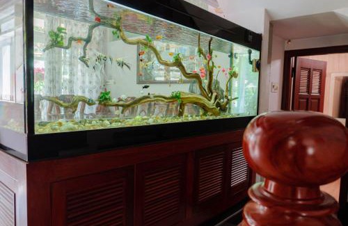 Tuy Hoa Apartamento | Homestay King Villa Phú Yên