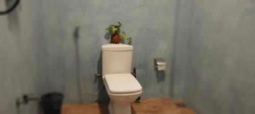 Midigama Cabina | Homestay Midigama East, Free Washer, Wi-Fi