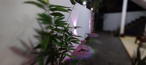 Midigama Cabina | Homestay Midigama East, Free Washer, Wi-Fi