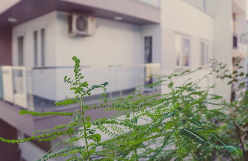 Tan Phu District Casa | Homestay Sunny's House