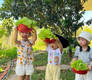 Bao Loc Casa | Homestay Vườn Trái Cây Nhiệt Đới VÔ ƯU GARDEN