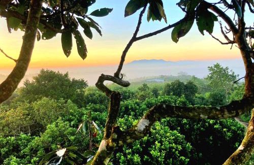 Bao Loc Casa | Homestay Vườn Trái Cây Nhiệt Đới VÔ ƯU GARDEN