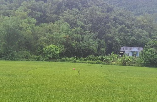 Mai Chau Apartamento | Homestays Gia Hưng