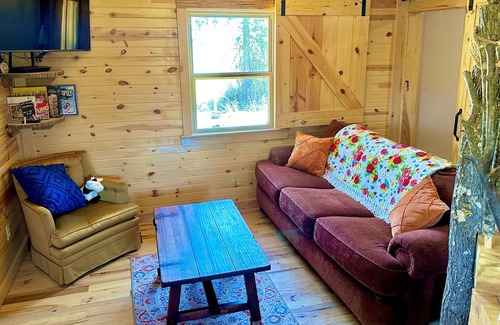Newnata Cabina | Homestead cabin on the hill