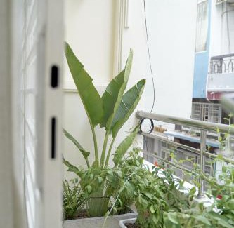 Phuong 8 Apartamento | Homezie Saigon