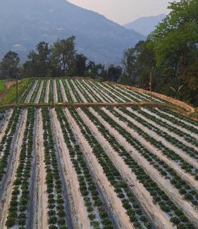 Hoang Su Phi Casa | Hommestay Người Nùng