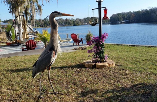 Homosassa Casa | A orillas del río homosassa Retiro - Relájese y disfrute!