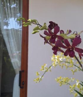Phan Rang Apartamento | Homstay Mai Biển Ninh Chử
