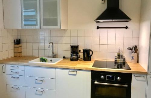 Ludwigshafen-Friesenheim Apartamento | Homy 1BR plus Sofabed Business Apart - Near BASF - Super fast Wifi - Free Parking