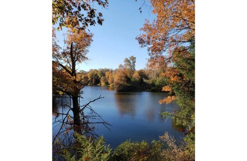 Henry County Cabina | Honey Creek Hideaway at Back Country Camp