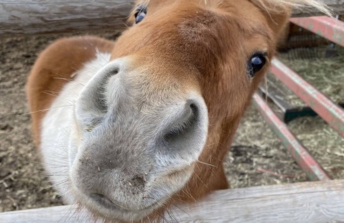 Kalispell Casa | Honey's Place Hideaway