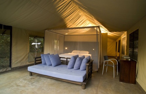 Thorny Bush Game Reserve Otro | Honeyguide Khoka Moya Camp