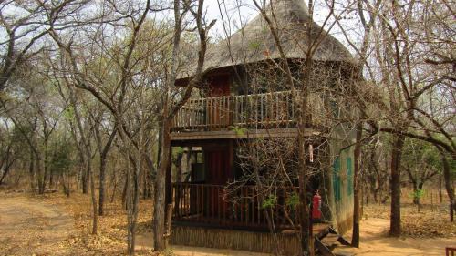 Mookgopong Otro | Honeyguide Ranger Camp