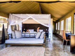 Thorny Bush Game Reserve Otro | Honeyguide Tented Safari Camp - Khoka Moya