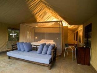 Thorny Bush Game Reserve Otro | Honeyguide Tented Safari Camp - Khoka Moya