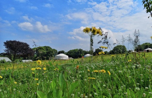 Newquay Cabina | Honeymoon - A luxury couples+ Yurt in a stunning historic estate near Newquay
