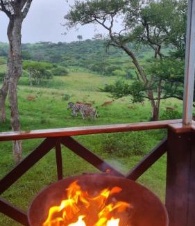 Albert Falls Apartamento | Hoopoe log cabin NO 2