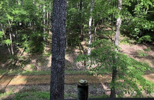 Iuka Casa | Hooters Hollow- Getaway cabin at Pickwick Lake