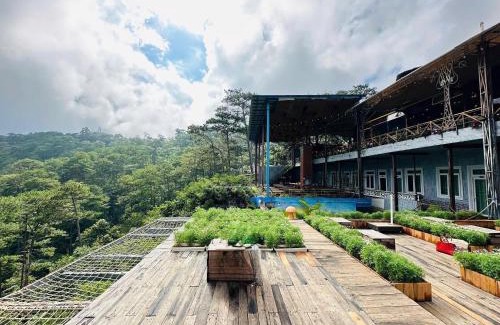 Da Lat Cabina | Horizon Coffee-Homestay Đà Lạt
